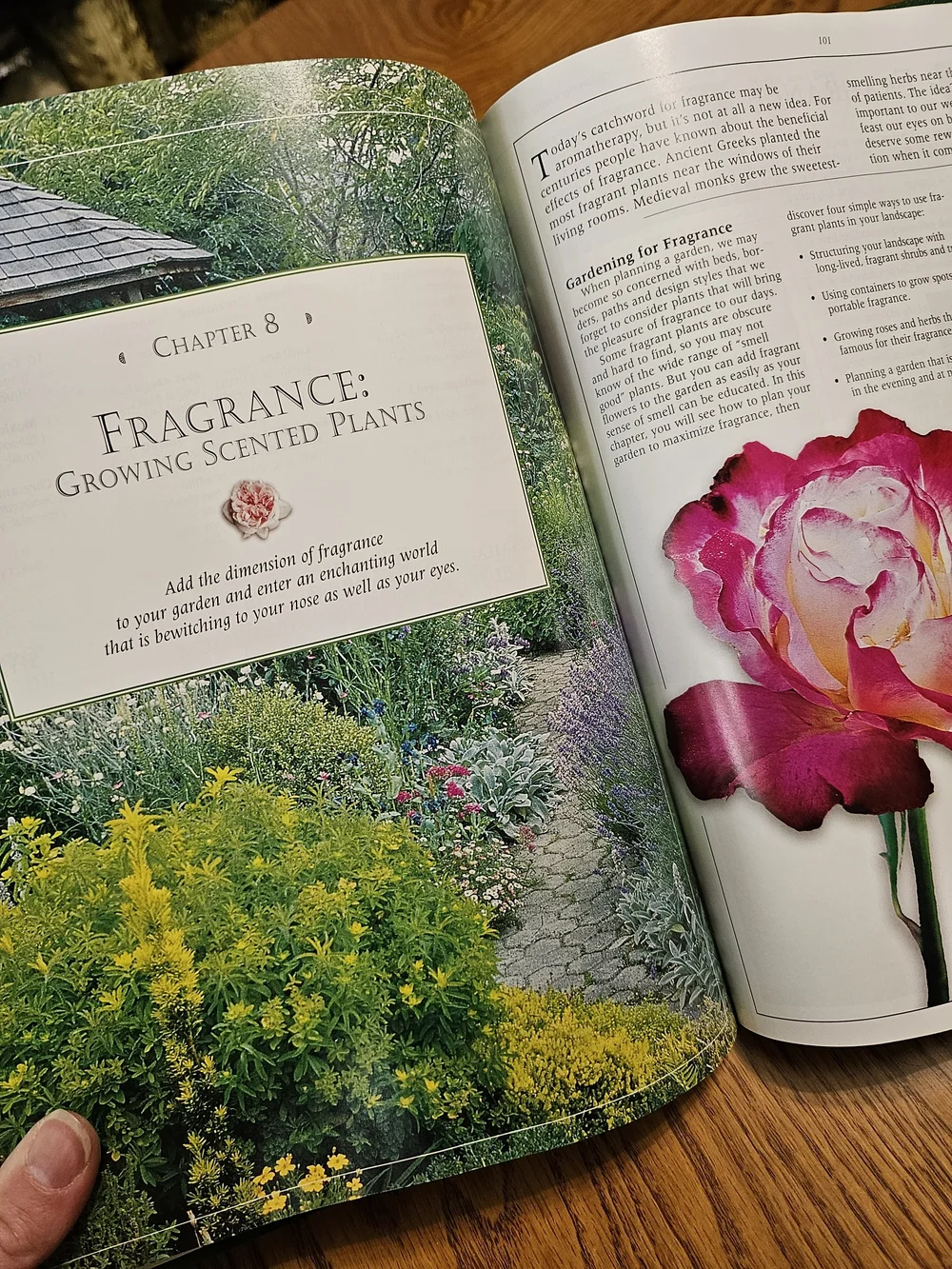 Gardening Essentials Hardcover Book  Color Cottage
